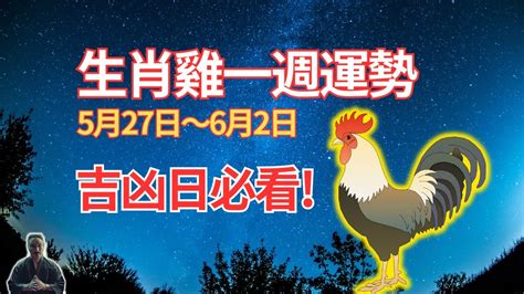 生肖屬雞|2024屬雞幾歲、2024屬雞運勢、屬雞幸運色、財位、禁忌